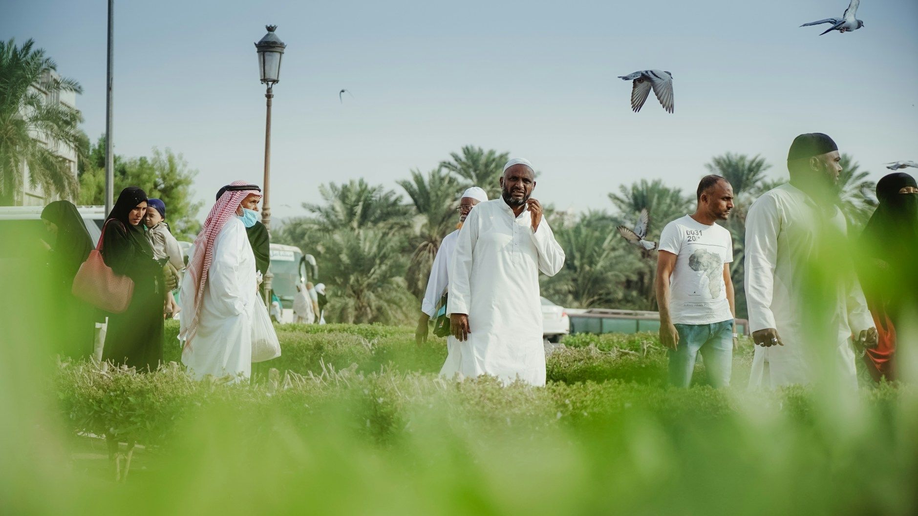 الانتشار